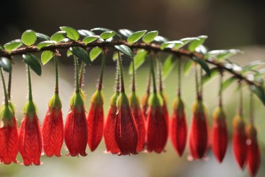 中山私人快速借钱网，轻松解决资金难题
