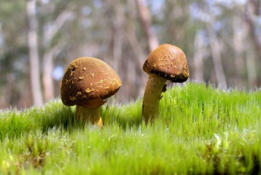 中山私人老板放款：轻松融资的秘密通道